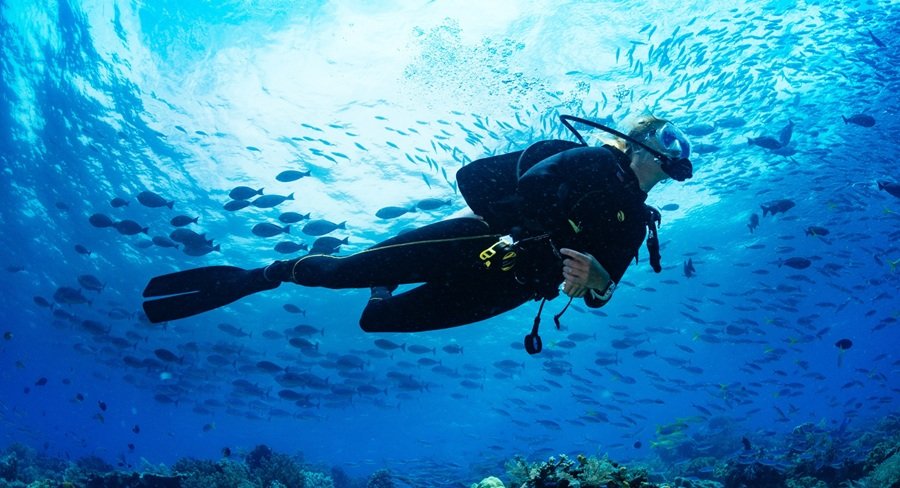 scuba diving Andaman Islands
